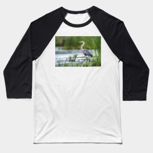 Blue Heron Baseball T-Shirt